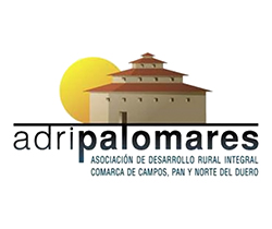 Asociación Adri Palomares